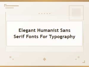 Elegant Humanist Sans Serif Fonts for Typography